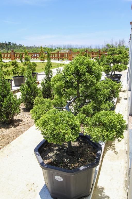 Long Xing B&B Huxi Dış mekan fotoğraf
